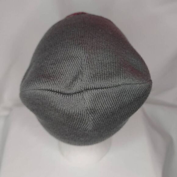 Adult Unisex Lagunitas Brewing Company Embroidered Beanie Hat Gray - Picture 4 of 12